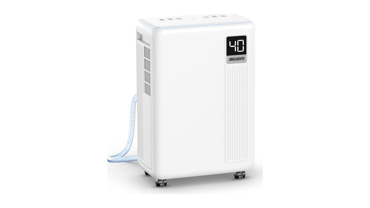 26-Pint Dehumidifier, Dehumidifier for Basement with Drain Hose, 2500 sq ft