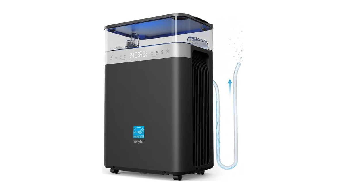 avylo 5000 Sq.Ft Dehumidifier for Basement with Pump and Drain Hose, Black