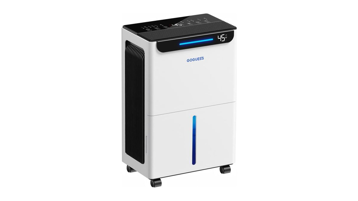 GoGuess 2500 Ft² Max 34 Pints Large Room Dehumidifier for Basement White