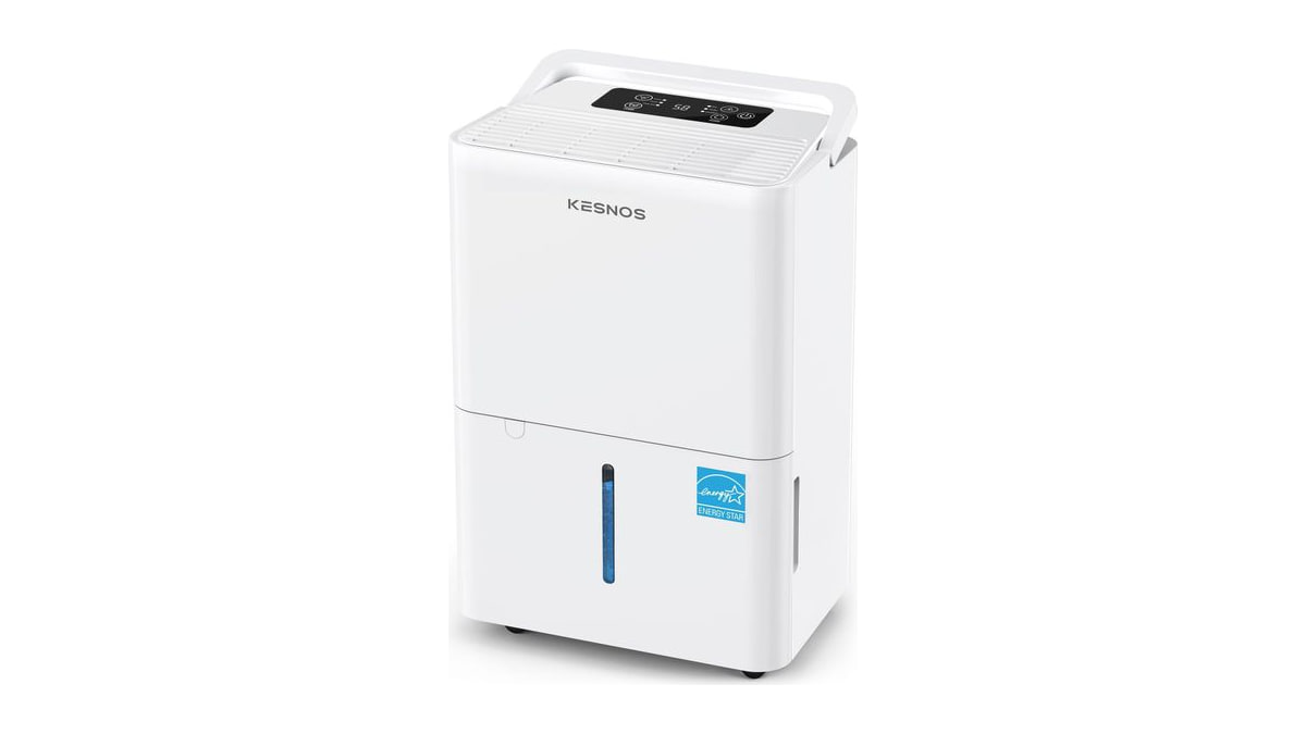 Kesnos 2,500 Sq. Ft. Energy Star Dehumidifier for Basement with Drain Hose
