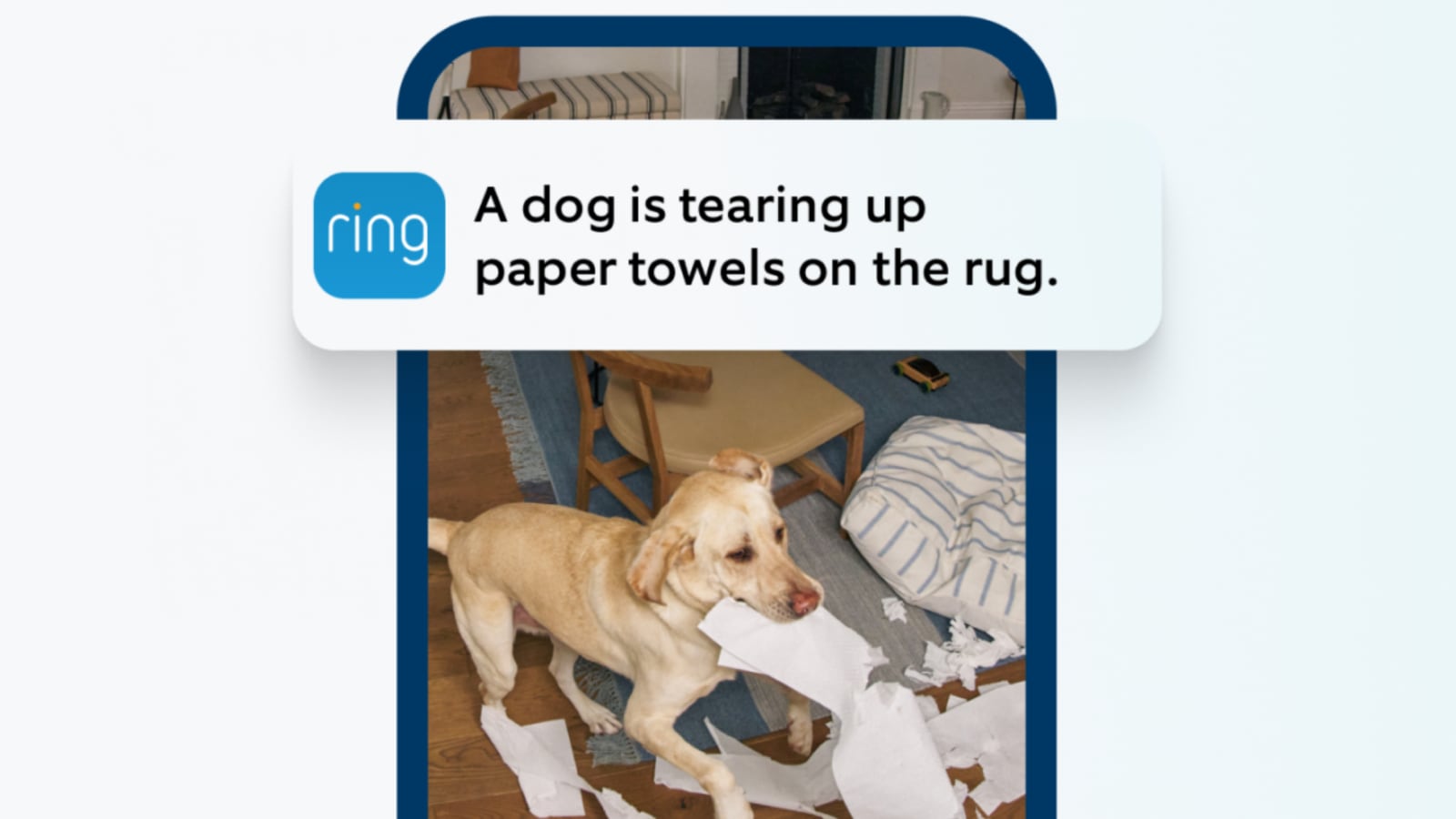A dog holds paper towels amid scattered scraps beneath a Ring event description.